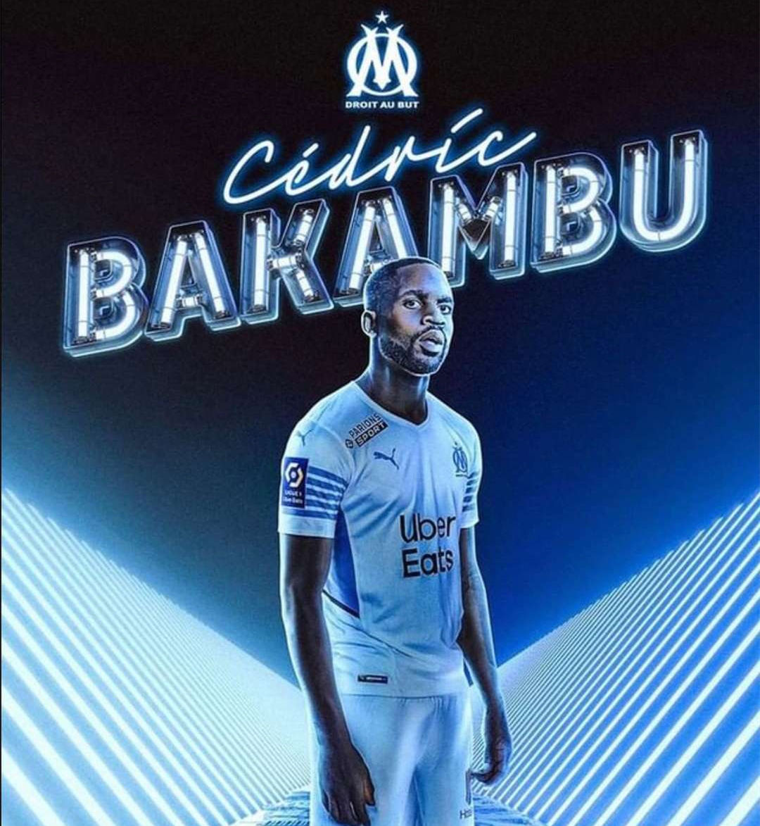 年人参与体 年人参与体