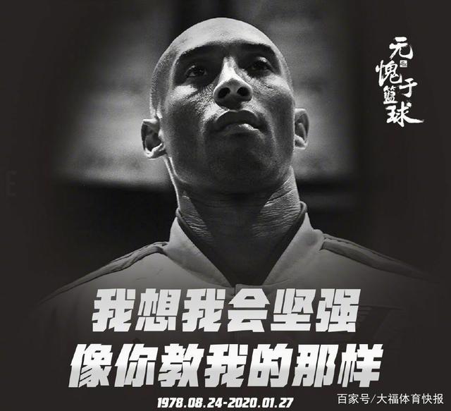亮点 亮点